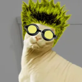 jellybackjoe